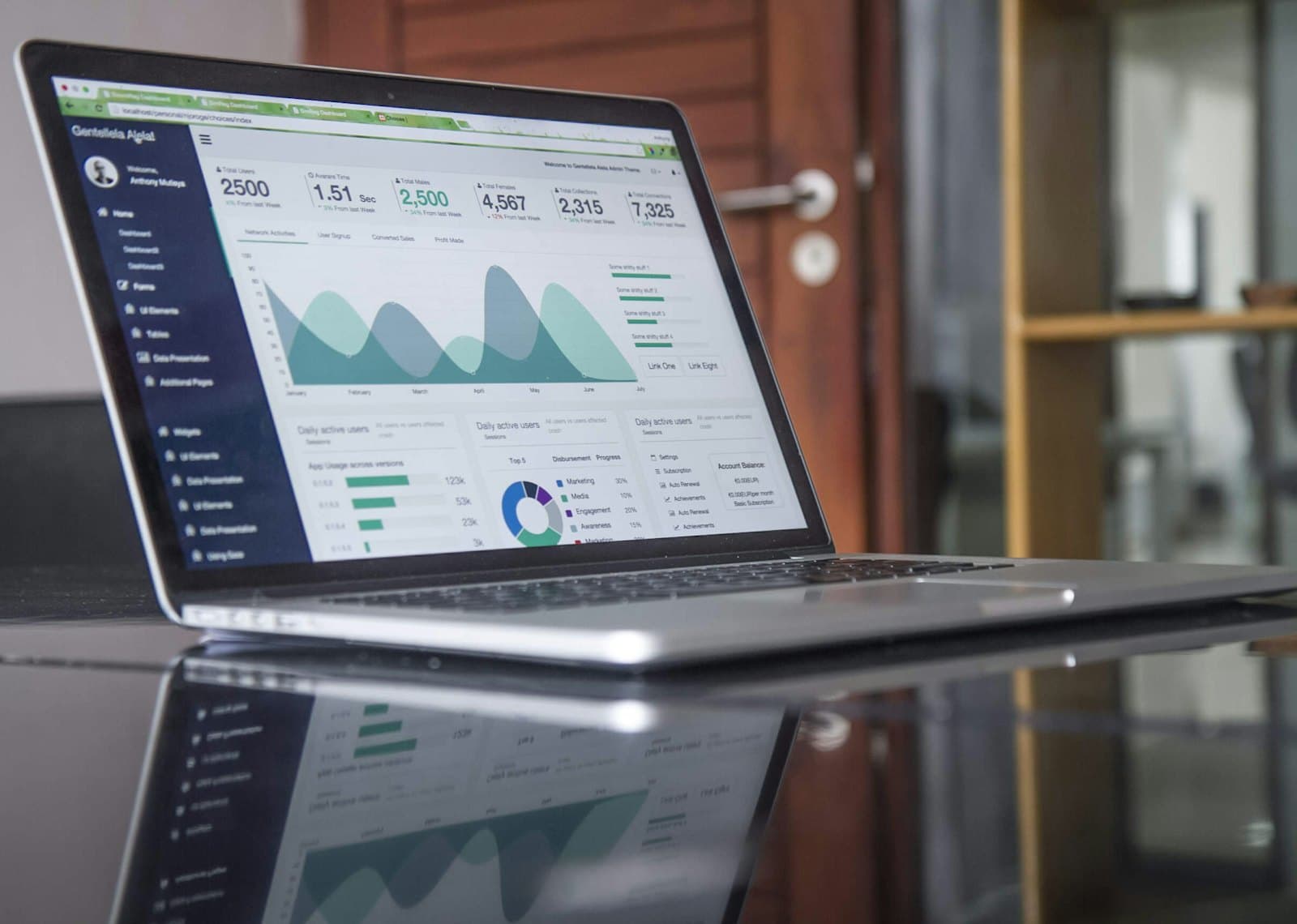 Website analytics reviewed during an SEO audit