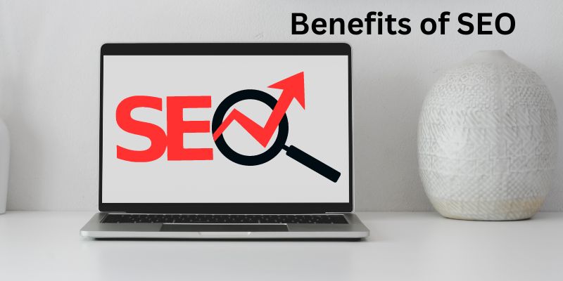 6 seo vs google ads