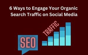 organic search traffic