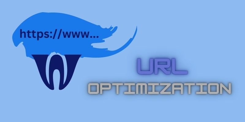 url optimmisation